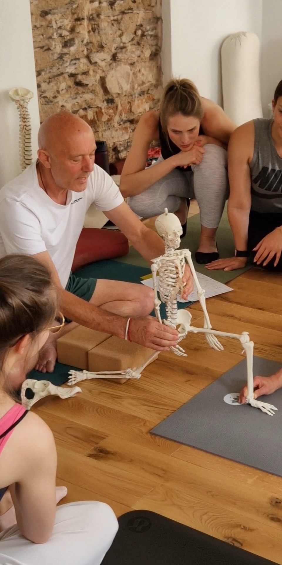 Ausbildung in Yogatherapie mit funktioneller Anatomie